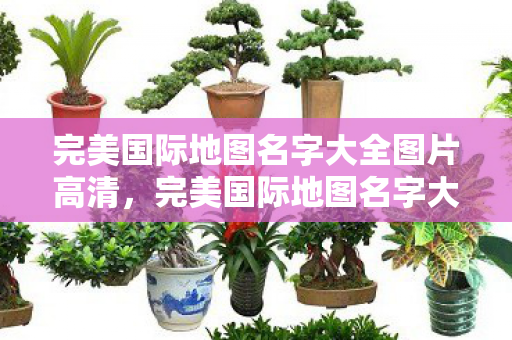 完美国际地图名字大全图片高清图片