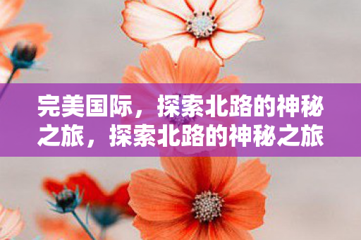 完美国际，探索北路的神秘之旅，探索北路的神秘之旅，完美国际的奇幻冒险