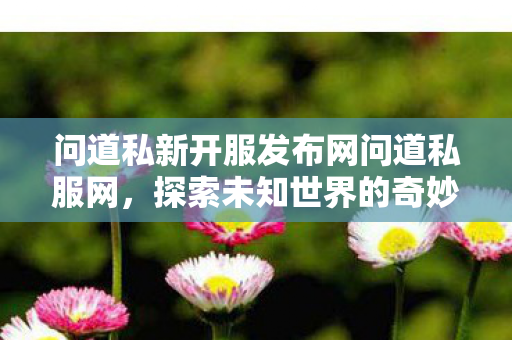 问道私新开服发布网问道私服网，探索未知世界的奇妙之旅，探索未知世界的奇妙之旅，问道私服网新开服发布