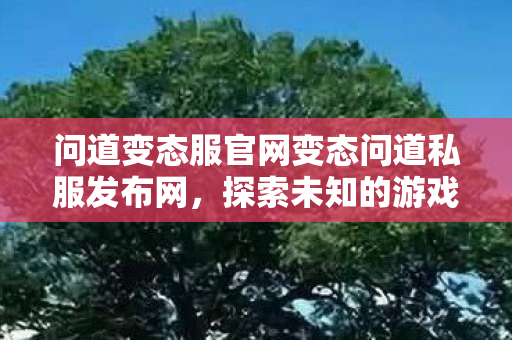 问道变态服官网变态问道私服发布网，探索未知的游戏世界，探索未知游戏世界，问道变态服官网私服发布网