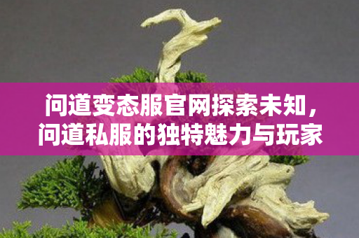 问道私服的独特魅力与玩家心声图片