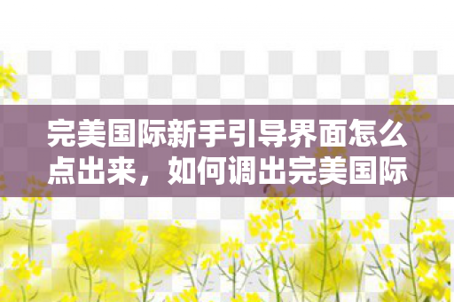 完美国际新手引导界面怎么点出来，如何调出完美国际新手引导界面？