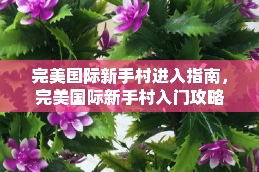 完美国际新手村进入指南，完美国际新手村入门攻略
