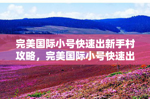完美国际小号快速出新手村攻略，完美国际小号快速出新手村全攻略