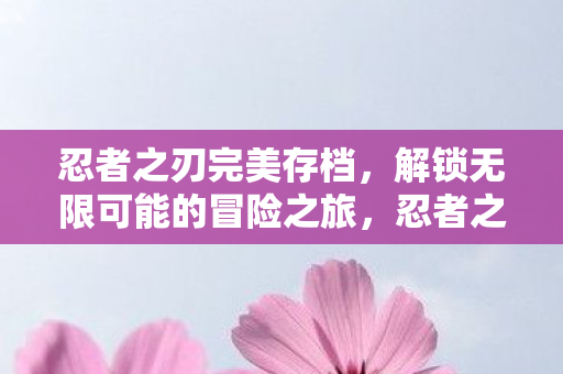 忍者之刃完美存档，解锁无限可能的冒险之旅，忍者之刃，解锁无限可能的冒险之旅