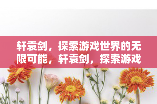 轩袁剑，探索游戏世界的无限可能，轩袁剑，探索游戏世界的无限可能