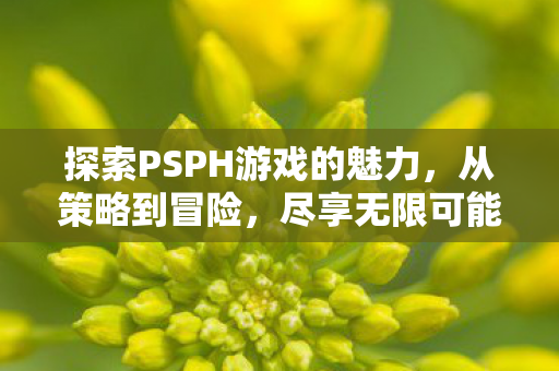 探索PSPH游戏的魅力，从策略到冒险，尽享无限可能，PSPH游戏，从策略到冒险，尽享无限可能