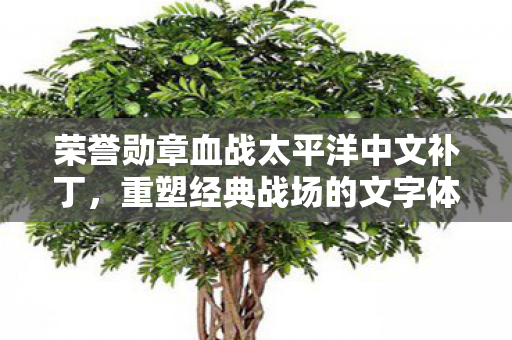 荣誉勋章血战太平洋中文补丁,重塑经典战场的文字体验,重塑经典,荣誉勋章血战太平洋中文补丁登场 荣誉勋章血战太平洋中文补丁,重塑经典战场的文字体验,重塑经典,荣誉勋章血战太平洋中文补丁登场