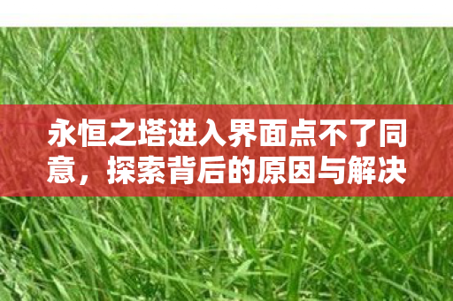 永恒之塔进入界面点不了同意，探索背后的原因与解决方案，永恒之塔界面无法同意，原因解析与解决方案