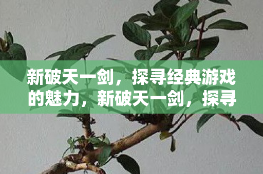 探寻经典游戏的魅力图片