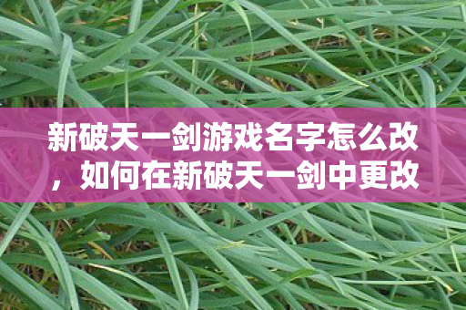 如何在新破天一剑中更改游戏名字图片