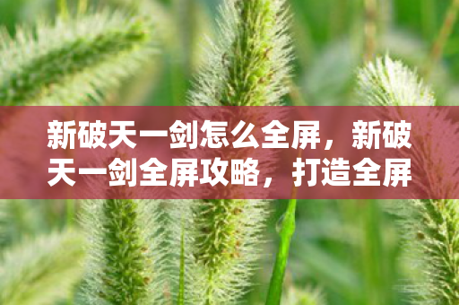 新破天一剑怎么全屏图片