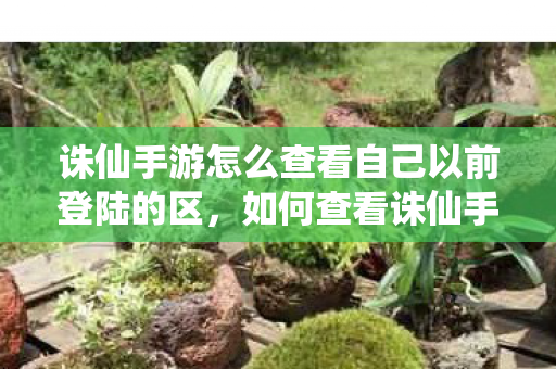 诛仙手游怎么查看自己以前登陆的区图片