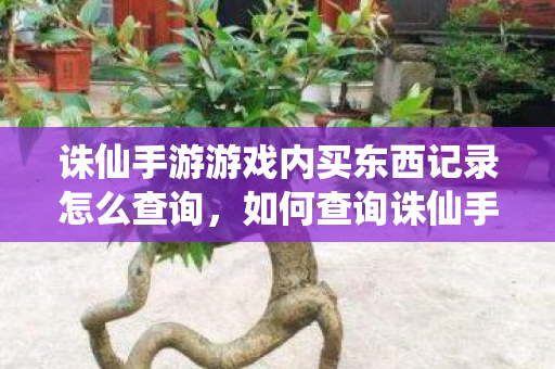 诛仙手游游戏内买东西记录怎么查询图片