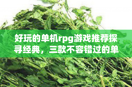好玩的单机rpg游戏推荐探寻经典，三款不容错过的单机RPG游戏，三款经典单机RPG游戏，不容错过！