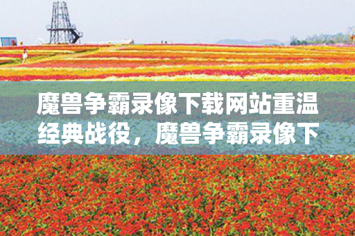 魔兽争霸录像下载网站重温经典战役，魔兽争霸录像下载全攻略，魔兽争霸录像下载全攻略，重温经典战役