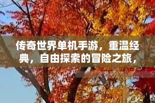 传奇世界单机手游,重温经典,自由探索的冒险之旅,重温经典,自由探索的冒险之旅,传奇世界单机手游 传奇世界单机手游,重温经典,自由探索的冒险之旅,重温经典,自由探索的冒险之旅,传奇世界单机手游