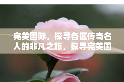 完美国际，探寻各区传奇名人的非凡之旅，探寻完美国际各区传奇名人的非凡之旅