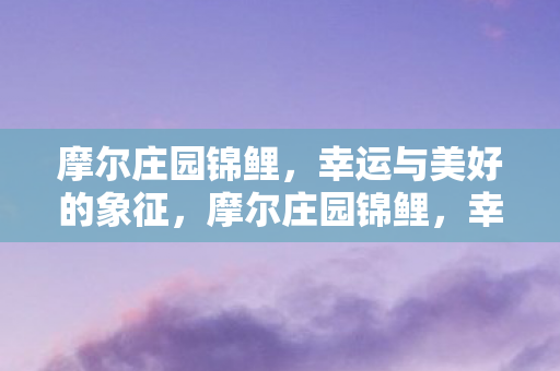 摩尔庄园锦鲤,幸运与美好的象征,摩尔庄园锦鲤,幸运与美好的象征 摩尔庄园锦鲤,幸运与美好的象征,摩尔庄园锦鲤,幸运与美好的象征