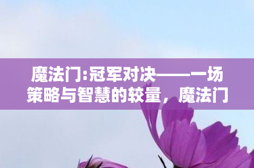 魔法门:冠军对决——一场策略与智慧的较量,魔法门:冠军对决——策略与智慧的巅峰对决 魔法门:冠军对决——一场策略与智慧的较量,魔法门:冠军对决——策略与智慧的巅峰对决
