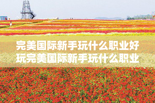 完美国际新手玩什么职业好玩完美国际新手玩什么职业好，完美国际新手推荐职业，哪些职业适合新手玩家？