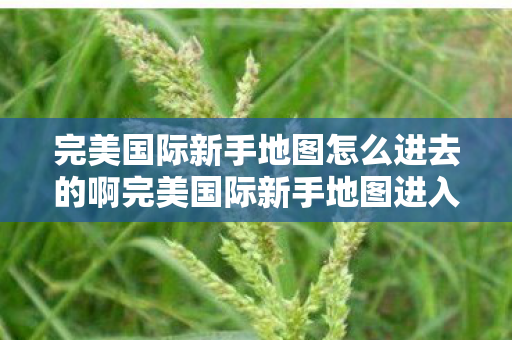 完美国际新手地图怎么进去的啊完美国际新手地图进入指南，完美国际新手地图进入指南