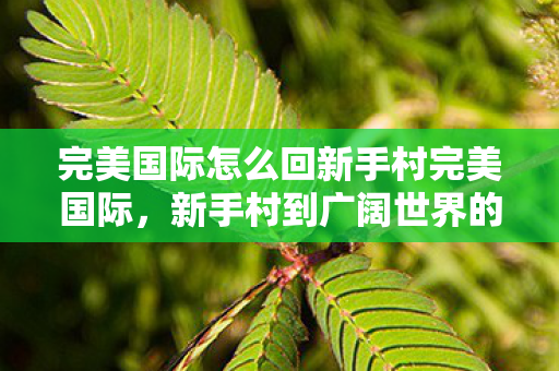 完美国际怎么回新手村完美国际，新手村到广阔世界的旅程，完美国际，从新手村到广阔世界的旅程