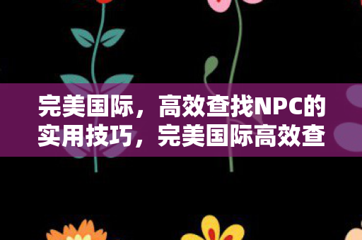 完美国际，高效查找NPC的实用技巧，完美国际高效查找NPC的实用技巧