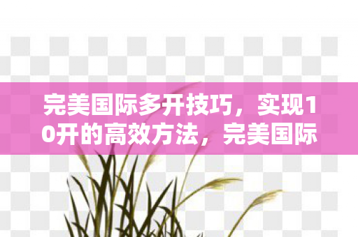 完美国际多开技巧,实现10开的高效方法,完美国际10开高效方法,多开技巧大揭秘 完美国际多开技巧,实现10开的高效方法,完美国际10开高效方法,多开技巧大揭秘