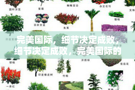 完美国际,细节决定成败,细节决定成败,完美国际的秘诀 完美国际,细节决定成败,细节决定成败,完美国际的秘诀