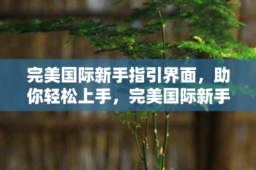 完美国际新手指引界面,助你轻松上手,完美国际新手指引,助你轻松上手游戏 完美国际新手指引界面,助你轻松上手,完美国际新手指引,助你轻松上手游戏