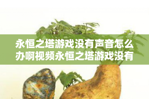 永恒之塔游戏没有声音怎么办啊视频永恒之塔游戏没有声音怎么办？永恒之塔游戏没声音怎么办？