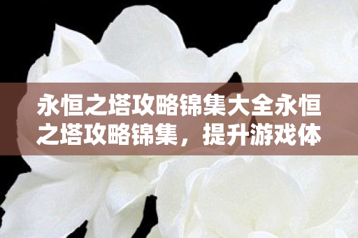 永恒之塔攻略锦集大全永恒之塔攻略锦集图片
