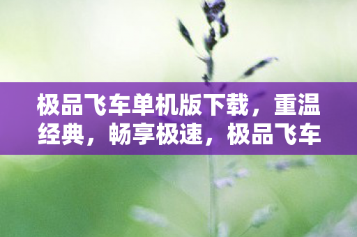 极品飞车单机版下载,重温经典,畅享极速,极品飞车单机版下载,重温经典,畅享极速 极品飞车单机版下载,重温经典,畅享极速,极品飞车单机版下载,重温经典,畅享极速