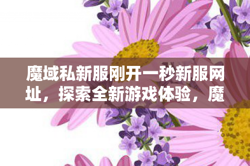 魔域私新服刚开一秒新服网址图片
