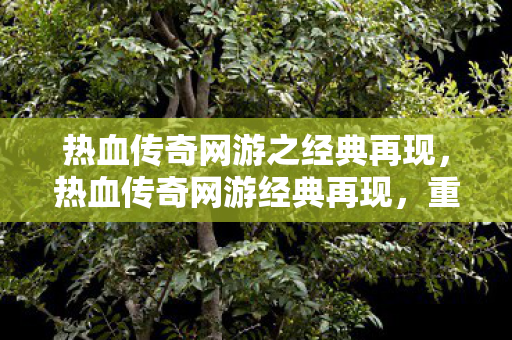 热血传奇网游之经典再现，热血传奇网游经典再现，重温传奇岁月