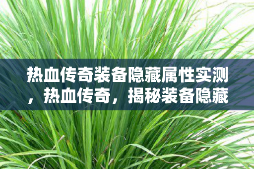 热血传奇装备隐藏属性实测图片