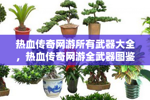热血传奇网游所有武器大全，热血传奇网游全武器图鉴