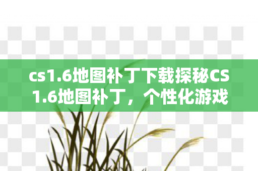 cs1.6地图补丁下载探秘CS1.6地图补丁，个性化游戏体验的无限可能，探秘CS1.6地图补丁，个性化游戏体验的无限可能
