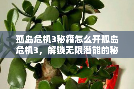 孤岛危机3秘籍怎么开孤岛危机3，解锁无限潜能的秘籍，解锁无限潜能，孤岛危机3秘籍全攻略