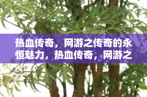 网游之传奇的永恒魅力图片