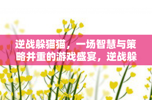 逆战躲猫猫，一场智慧与策略并重的游戏盛宴，逆战躲猫猫，智慧与策略的游戏盛宴