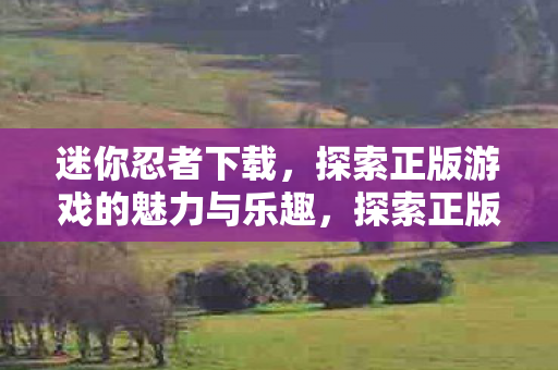 迷你忍者下载，探索正版游戏的魅力与乐趣，探索正版游戏魅力，迷你忍者下载开启乐趣之旅