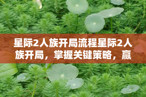 星际2人族开局流程星际2人族开局，掌握关键策略，赢得游戏先机，星际2人族开局，掌握关键策略，赢得游戏先机