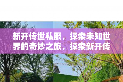 新开传世私服,探索未知世界的奇妙之旅,探索新开传世私服,开启未知世界的奇妙旅程 新开传世私服,探索未知世界的奇妙之旅,探索新开传世私服,开启未知世界的奇妙旅程