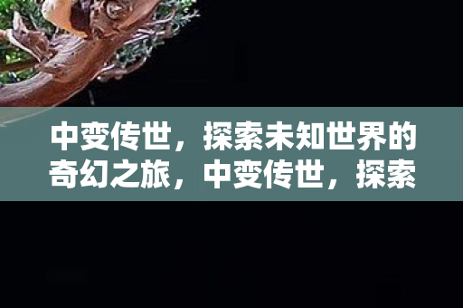 中变传世，探索未知世界的奇幻之旅，中变传世，探索未知世界的奇幻之旅