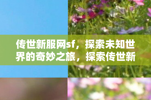 传世新服网sf，探索未知世界的奇妙之旅，探索传世新服网sf，开启未知世界的奇妙之旅