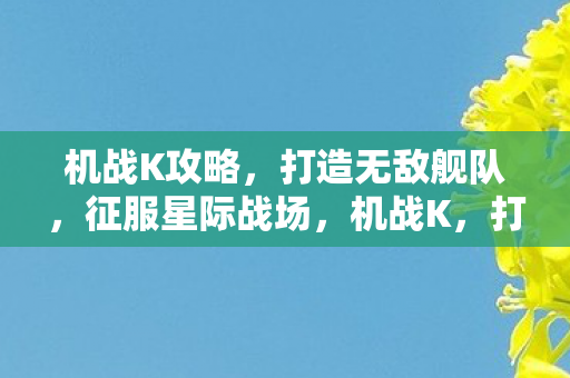 机战K攻略，打造无敌舰队，征服星际战场，机战K，打造无敌舰队，征服星际战场攻略