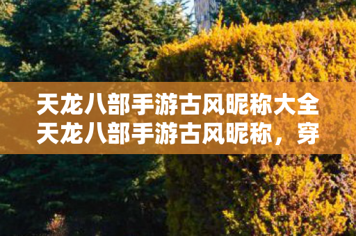 天龙八部手游古风昵称大全天龙八部手游古风昵称图片