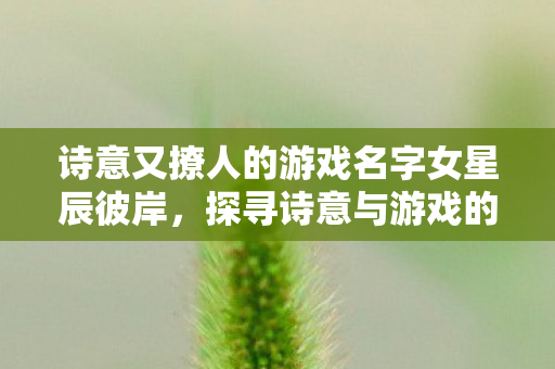 诗意又撩人的游戏名字女星辰彼岸,探寻诗意与游戏的浪漫交织,星辰彼岸,诗意与游戏交织的浪漫之旅 诗意又撩人的游戏名字女星辰彼岸,探寻诗意与游戏的浪漫交织,星辰彼岸,诗意与游戏交织的浪漫之旅